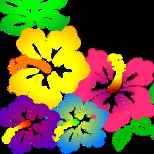 Meet your Posher, Amie